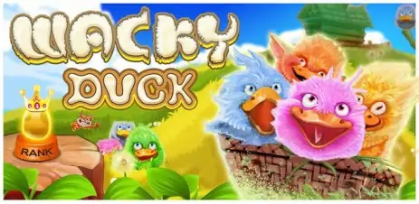 Poster Wacky Duck