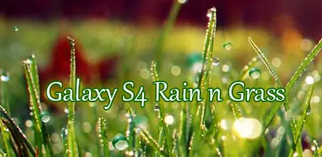 Poster Galaxy S4 Rain n Grass LWP