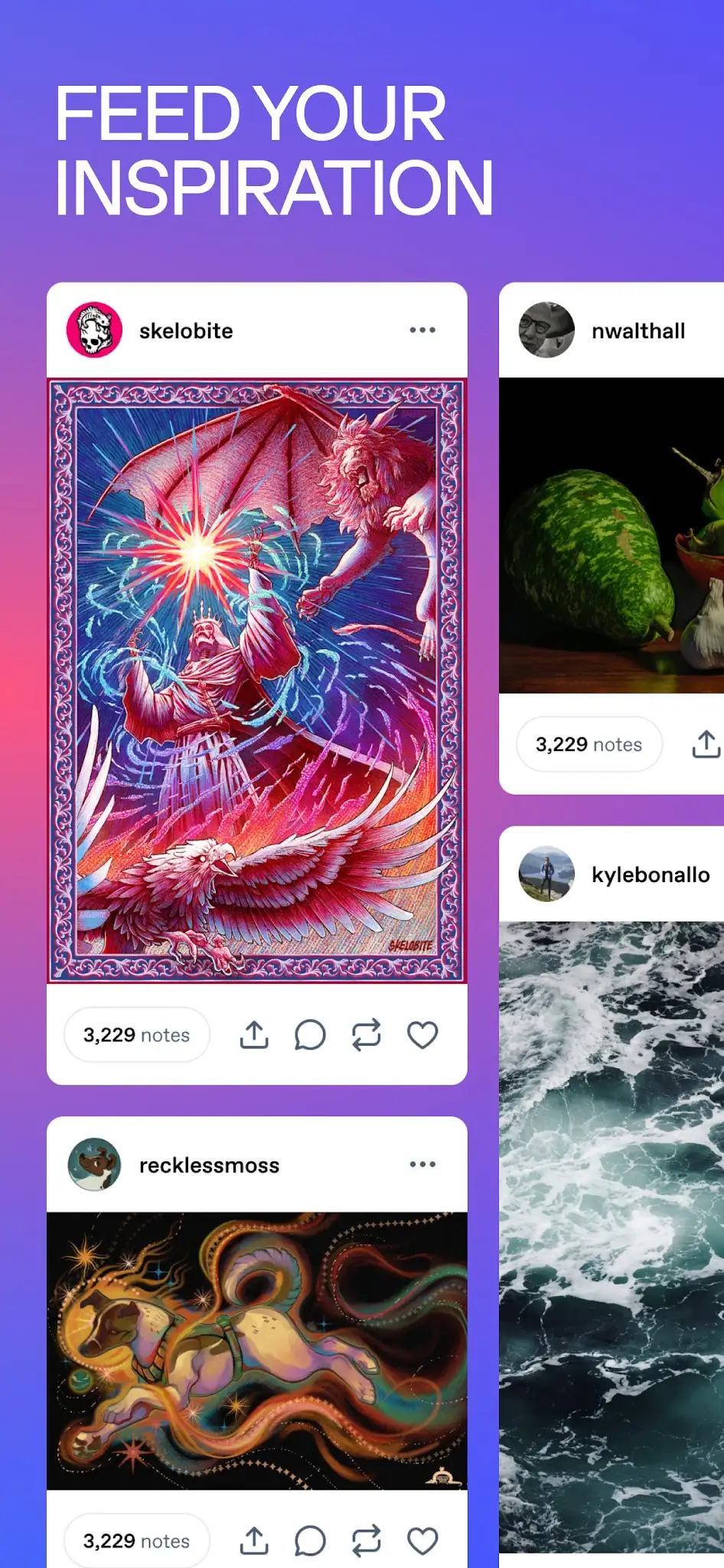 Screenshot Tumblr 4