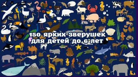 Poster Обучалки: Учим зверей