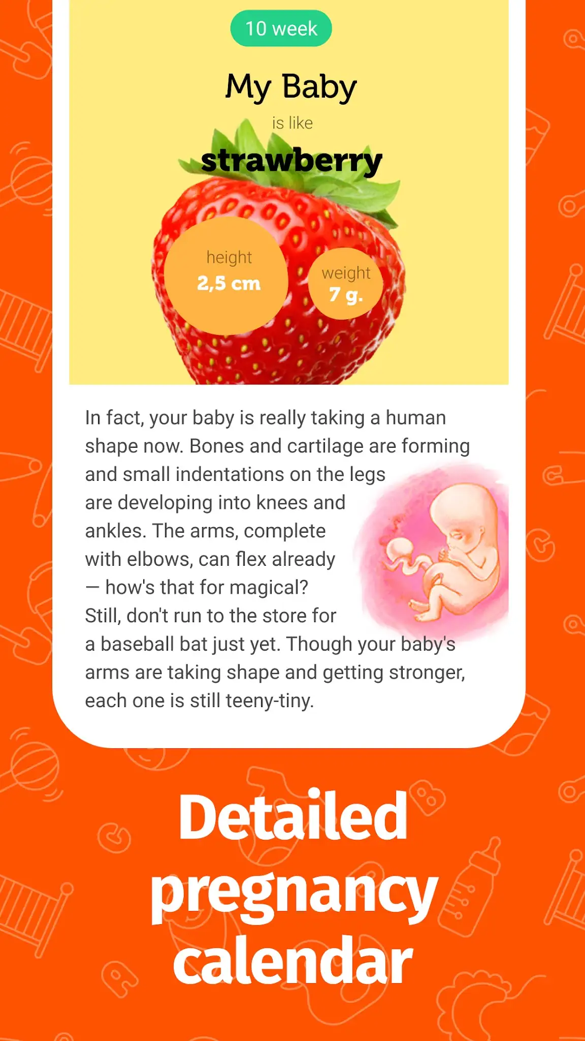 Ekran Görüntüsü Preggie hamilelik takipçisi 4