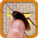 Cockroach Smasher