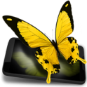 Butterflies 3D