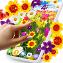 꽃 라이브 배경 화면