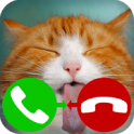 fake call dinosaur game icon