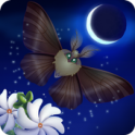 Flutter: Starlight icon