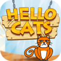 Hello Cats