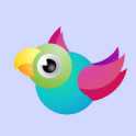 Bouncy Birds