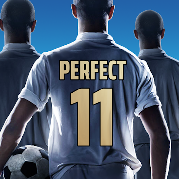 Cover art of «Perfect Soccer» - icon