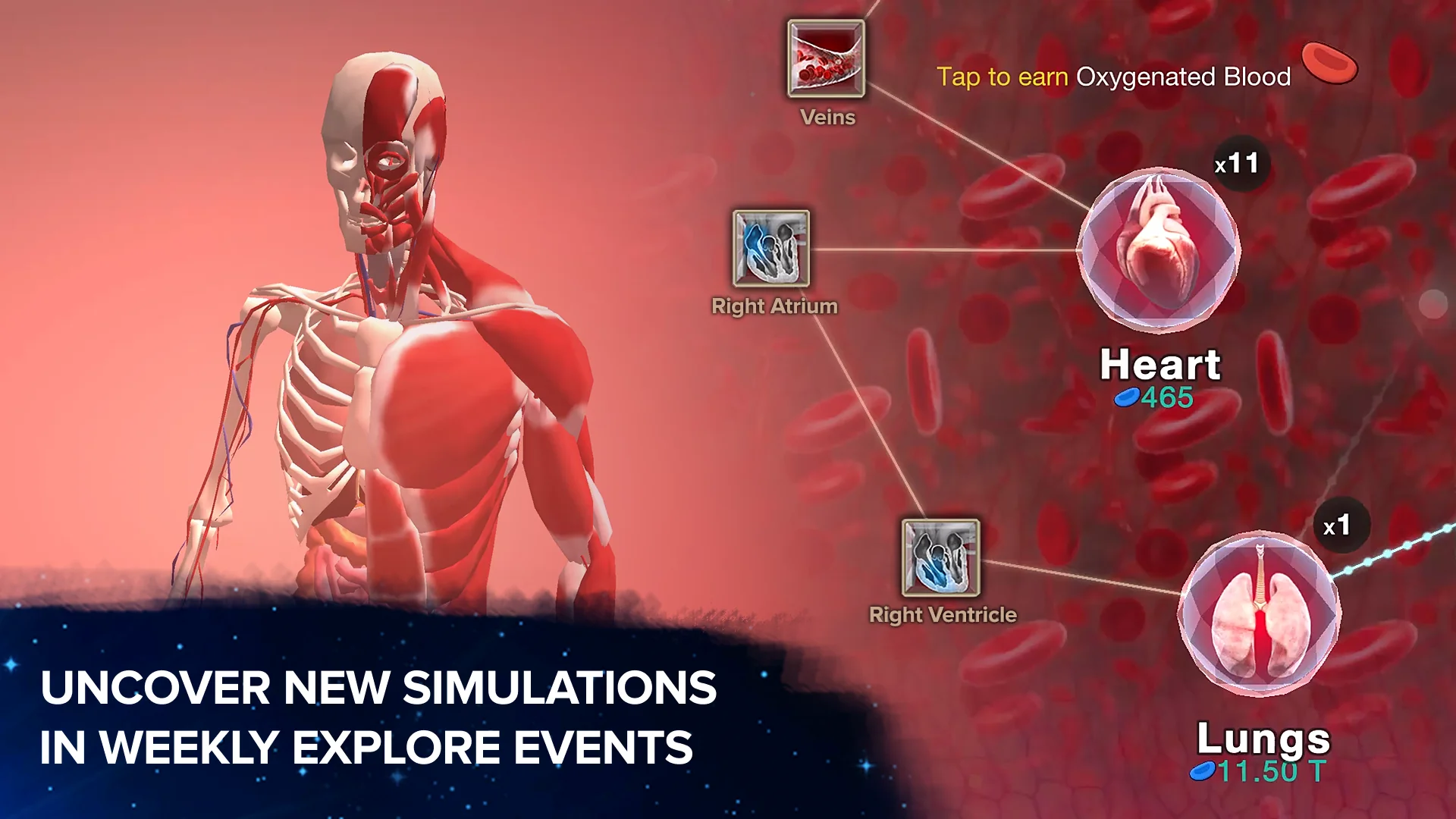 Screenshot Cell to Singularity: Evolution 1