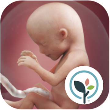 Pregnancy App & Baby Tracker ikon