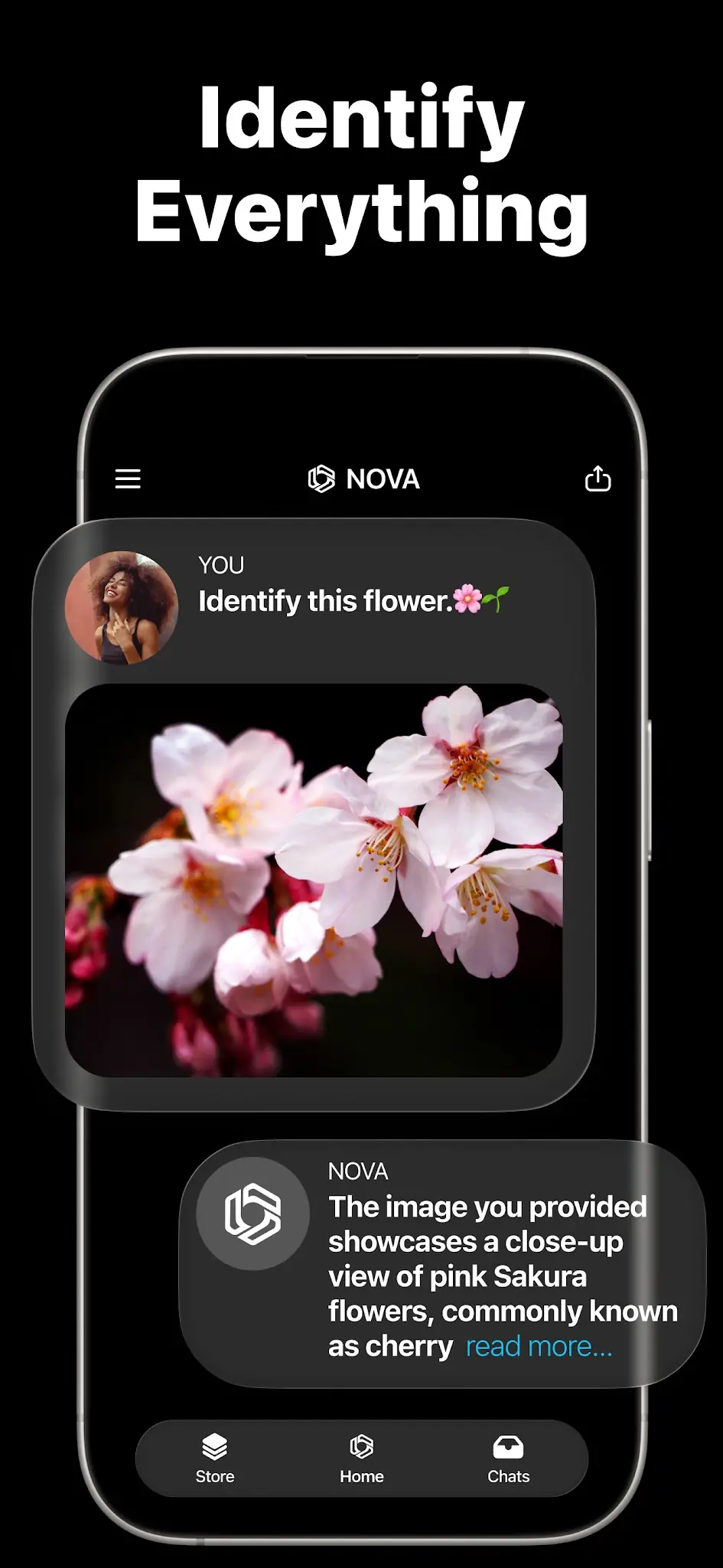 Скриншот AI Chatbot - Nova 6