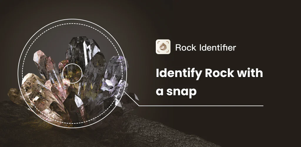 Rock Identifier: Stone ID игра корица за Android