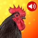 Âm thanh động vật by Premium Software icon