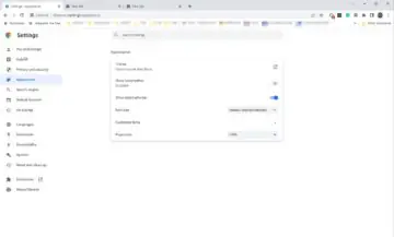 Google Chrome का स्क्रीनशॉट 13