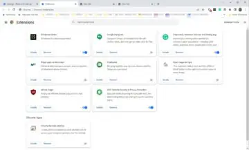 Google Chrome का स्क्रीनशॉट 14