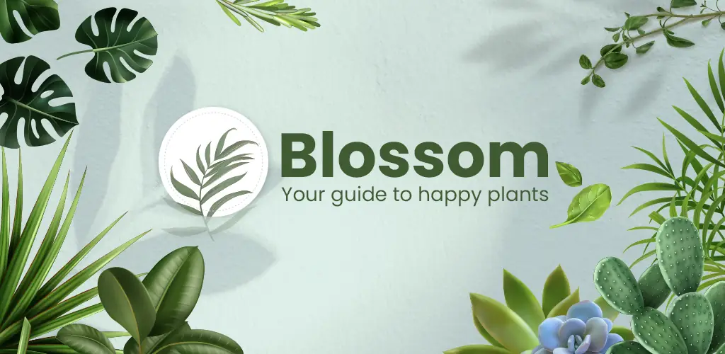 Blossom 应用程序 Android 封面艺术