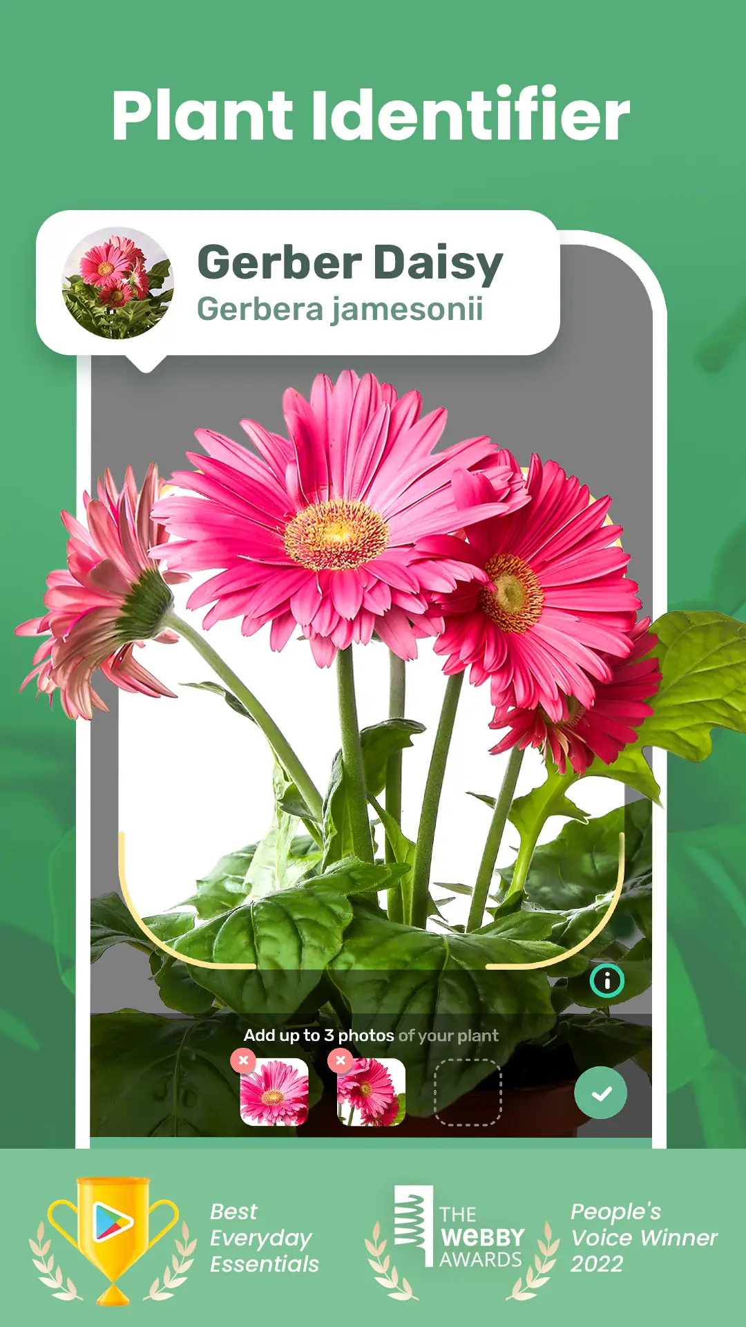 截图 Blossom 1