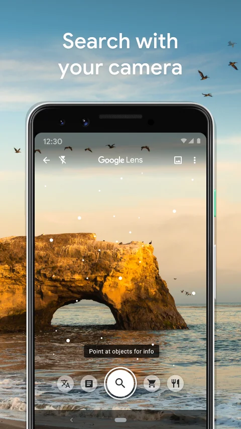 Captura de pantalla Google Lens 1