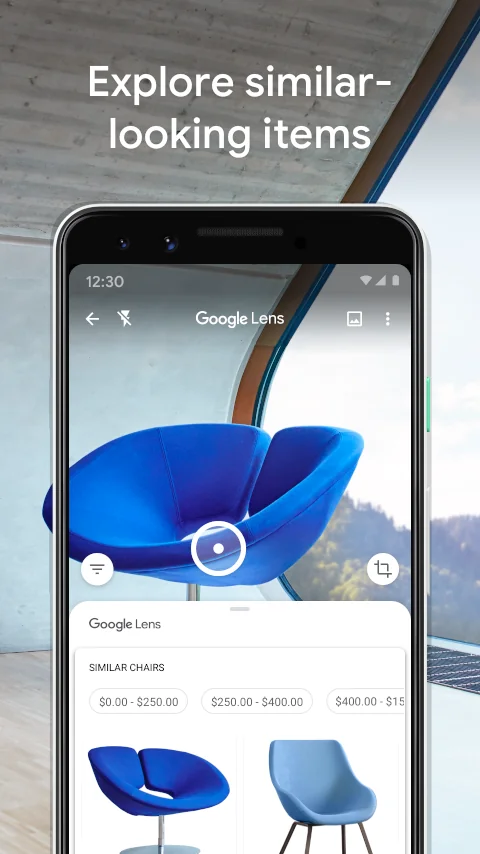 Captura de pantalla Google Lens 6