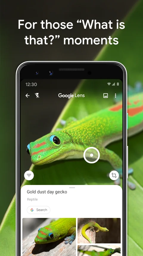 Captura de pantalla Google Lens 8