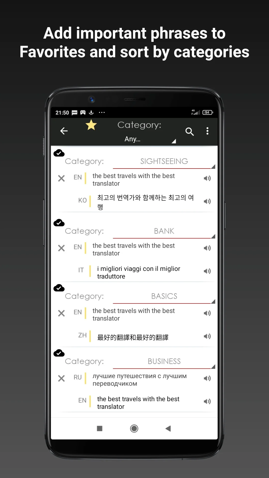 Captura de pantalla Traductor sin conexión S&T 3