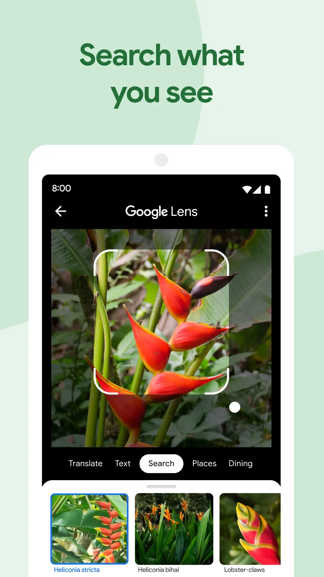 Schermata Google Foto 3