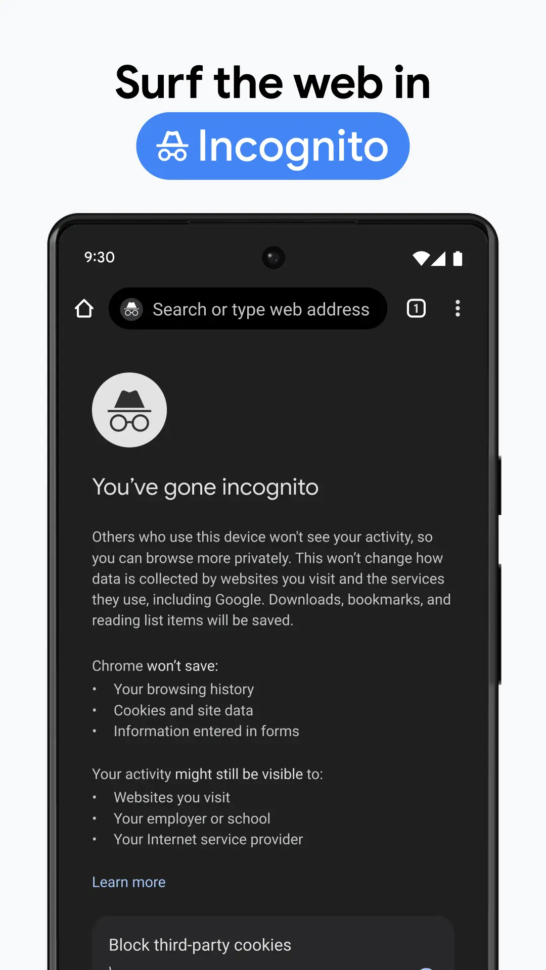 Captură de ecran Google Chrome 6