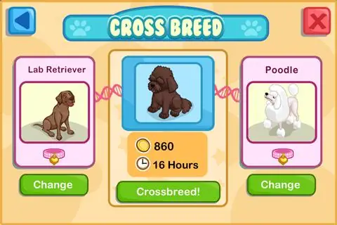 Pet Shop Story képernyőkép 4