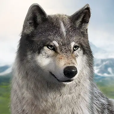 Wolf Game Ikona
