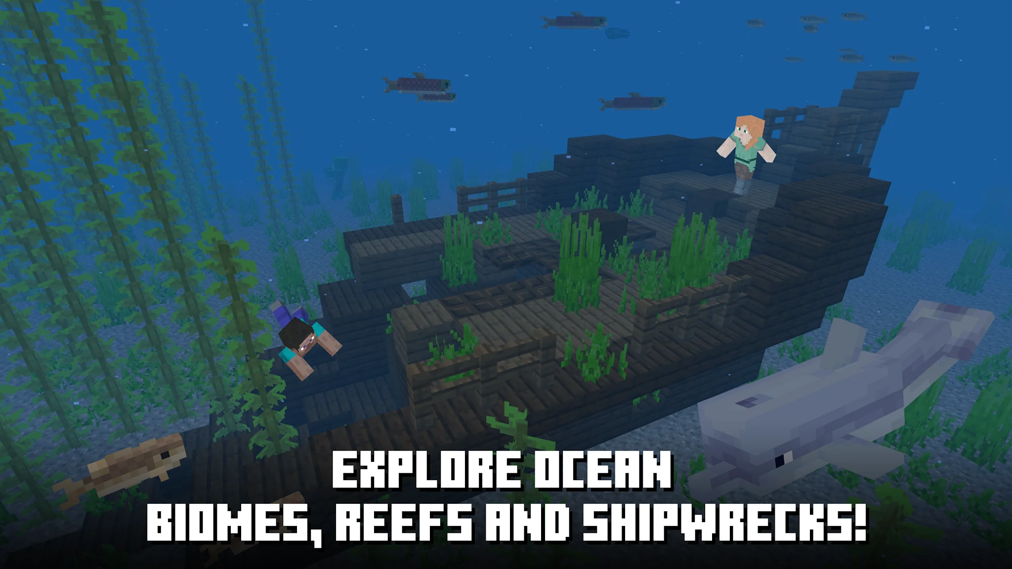 Capture d'écran Essai Minecraft 4