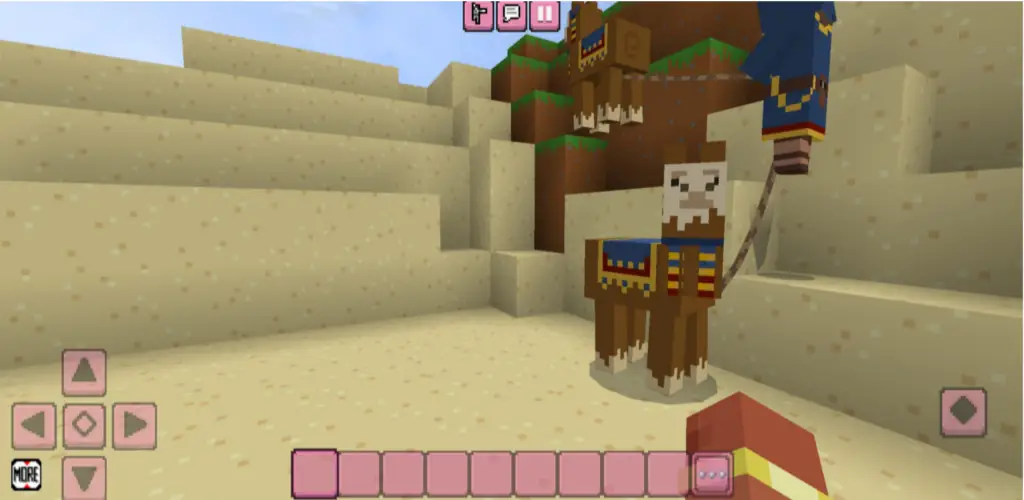 لقطة شاشة Bloxx Craft Girl %د