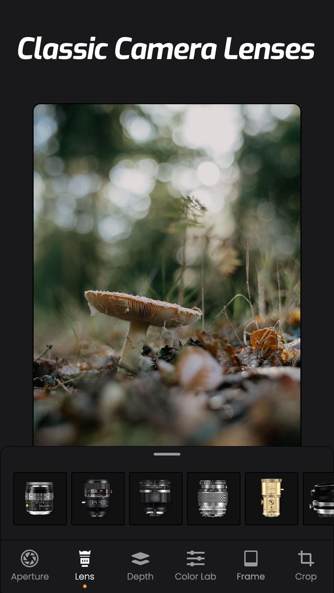 Screenshot ReLens 6