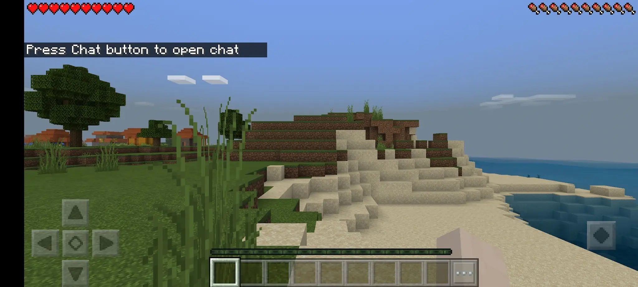 Screenshot Craftarena 5