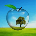 Скачать PiP камера картинка в картинке APK