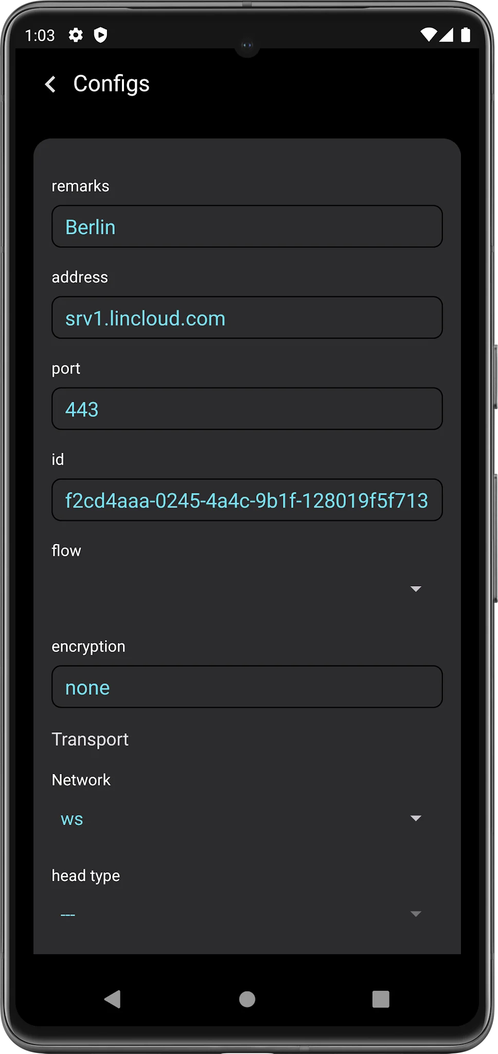 Screenshot V2Box 3