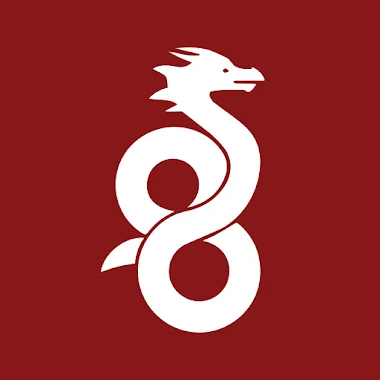 WireGuard Ícone