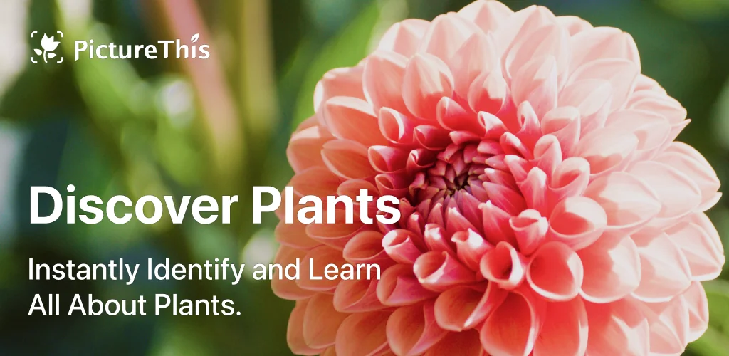 PictureThis - Plant Identifier app cover art for Android