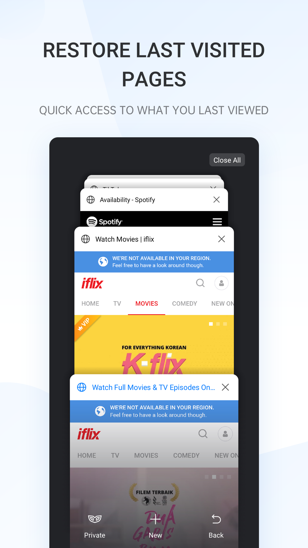 Screenshot Internet Browser 2