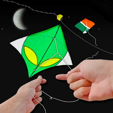 Kite Flying India VS Pakistan Icona