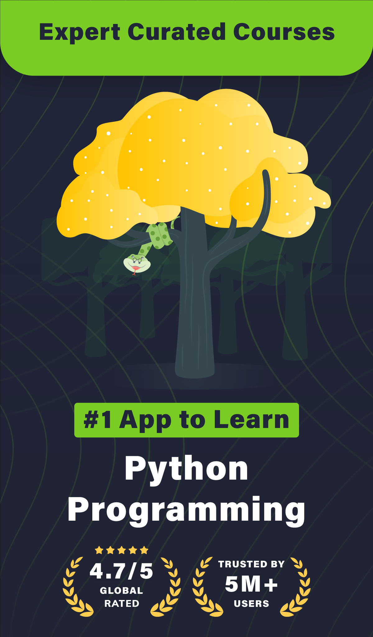 Schermata Learn Python 1