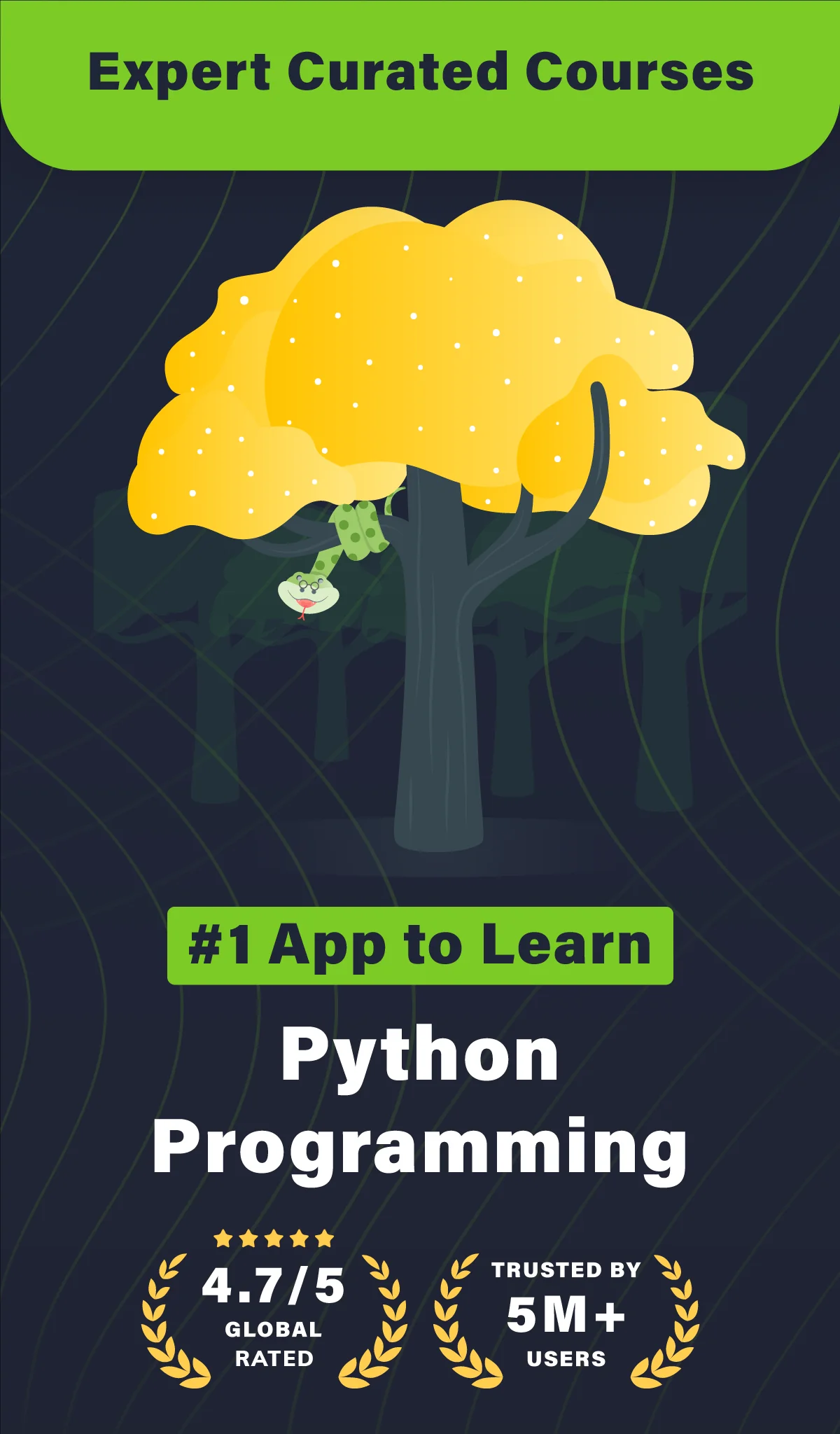 Screenshot Learn Python 1