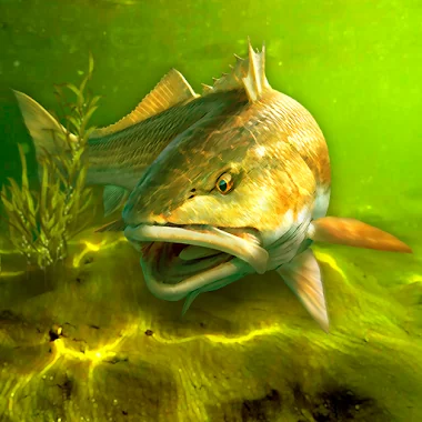 My Fishing World Иконка