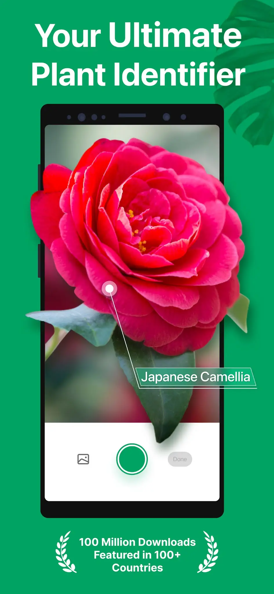 Screenshot PictureThis - Plant Identifier 1
