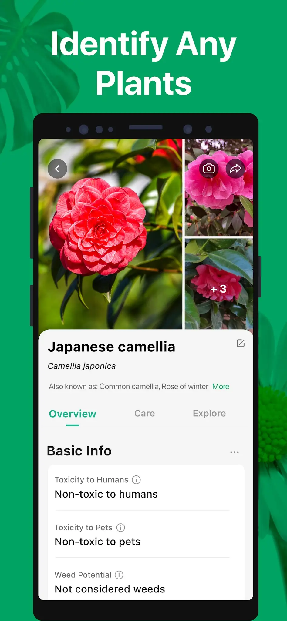 Screenshot PictureThis - Plant Identifier 2
