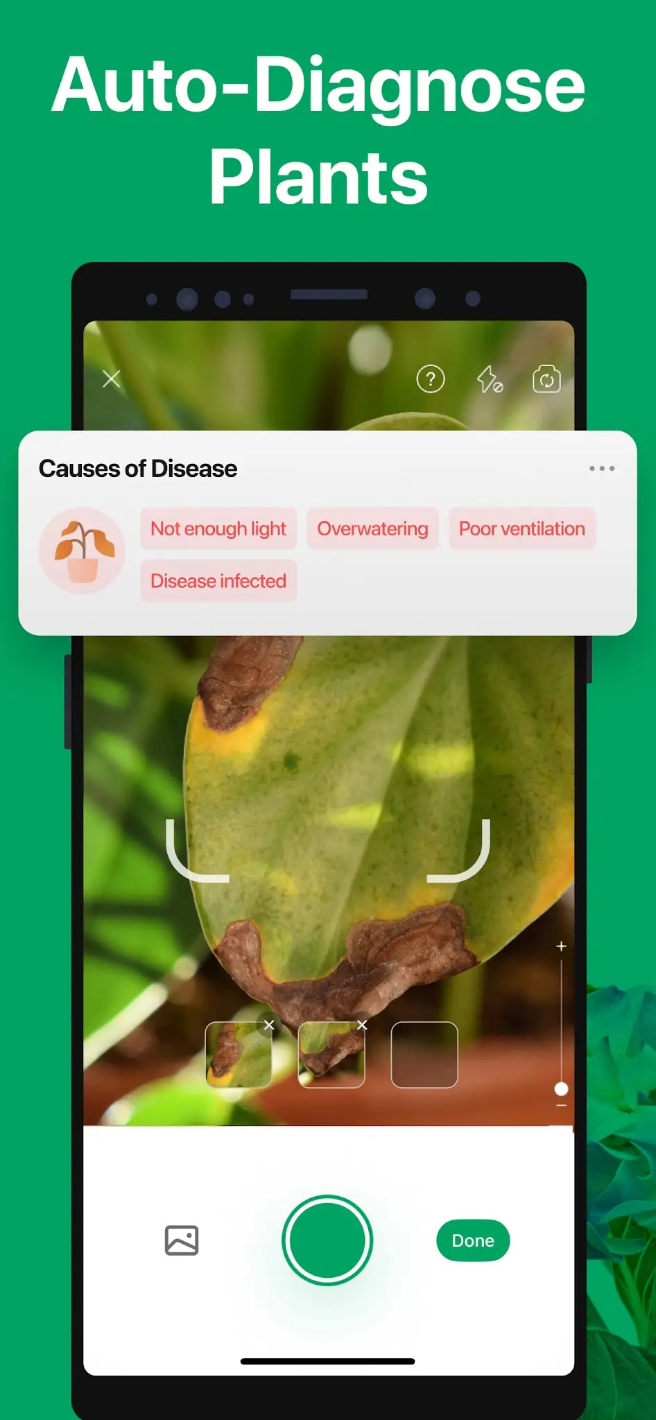 Screenshot PictureThis - Plant Identifier 4