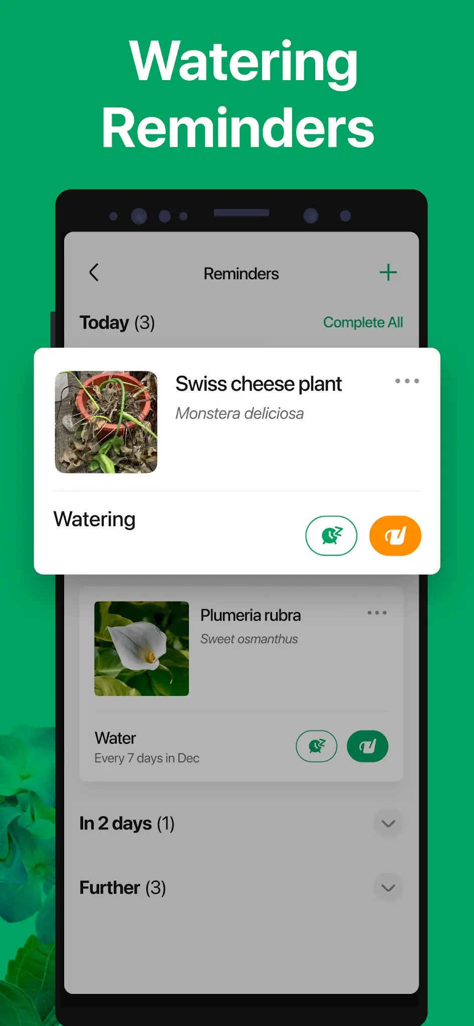 Screenshot PictureThis - Plant Identifier 5