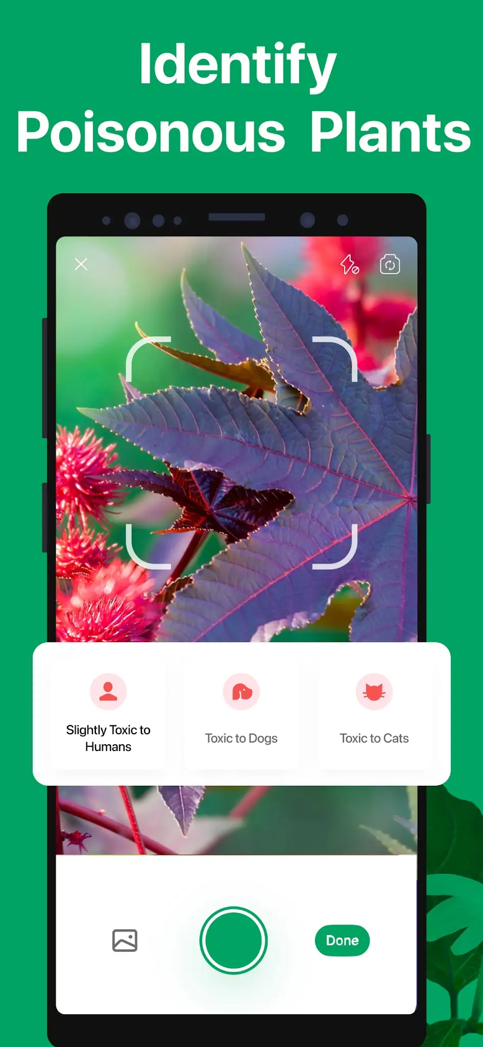 Screenshot PictureThis - Plant Identifier 6