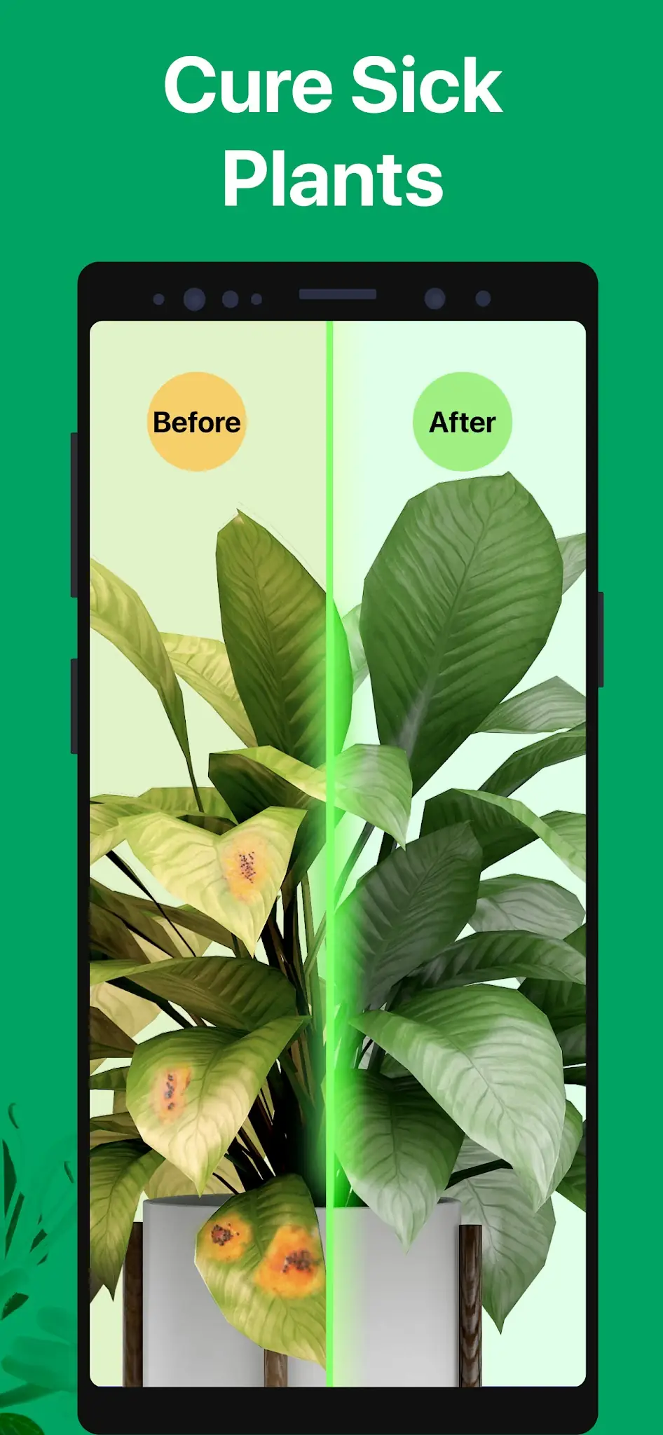 Screenshot PictureThis - Plant Identifier 7