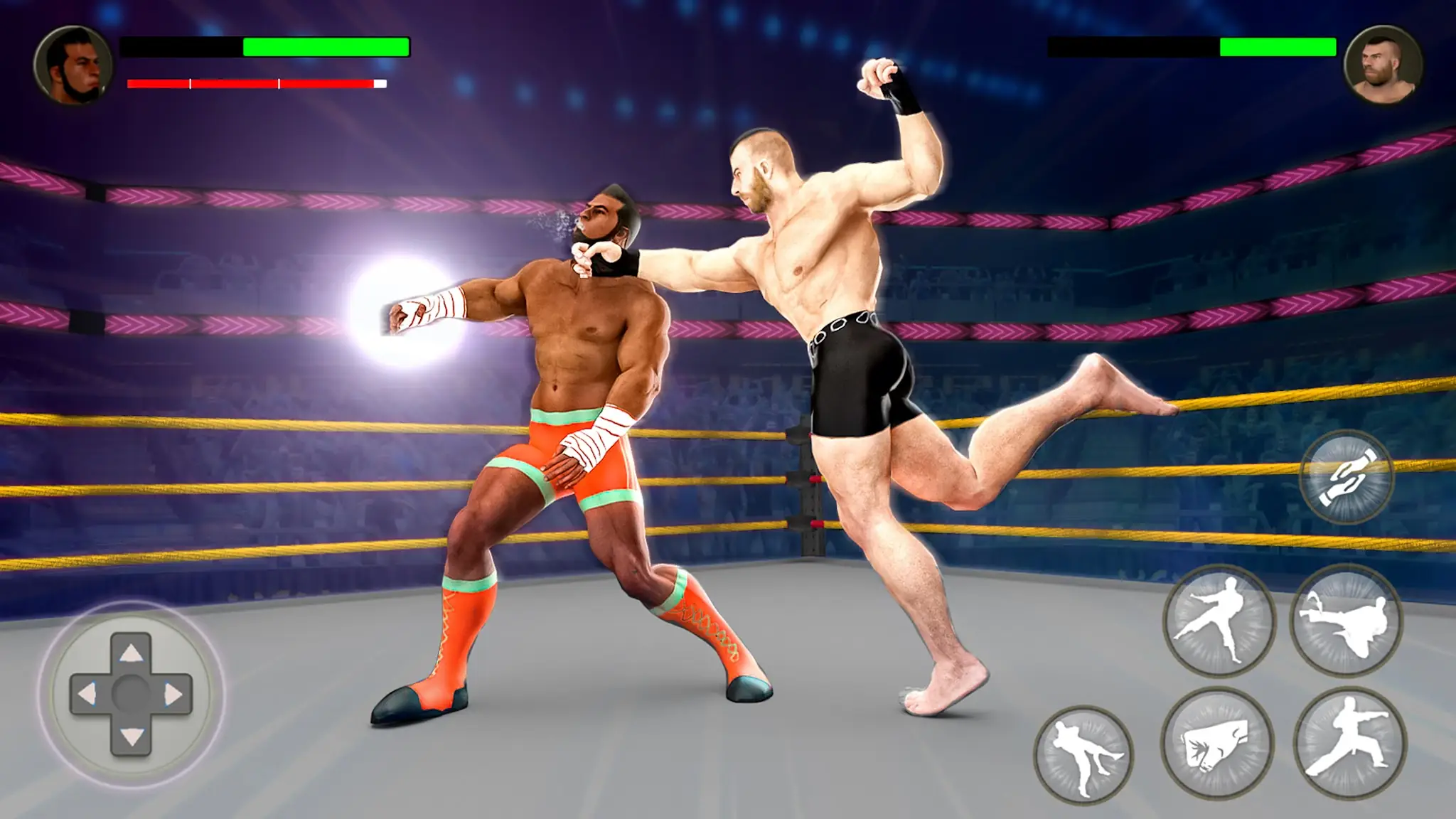 ภาพหน้าจอ PRO Wrestling Fighting Game 2
